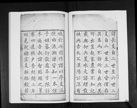 山东王氏-王氏族谱[4卷].pdf电子版插图2