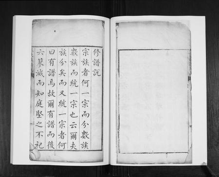 山东王氏-王氏族谱[4卷].pdf电子版插图4