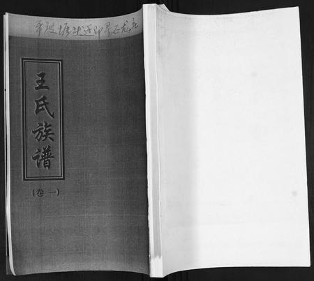 山东王氏-王氏族谱[4卷].pdf电子版