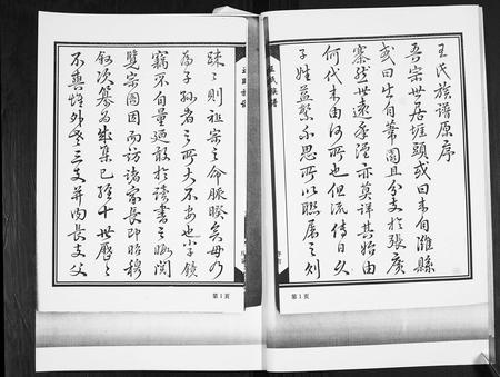 山东王氏-王氏族谱[4卷].pdf电子版插图4