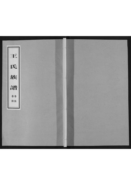 山东王氏-王氏族谱[5卷].pdf电子版