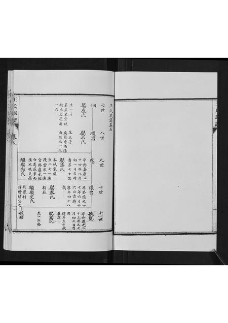 山东王氏-王氏族谱[5卷].pdf电子版插图2