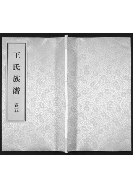 山东王氏-王氏族谱[5卷].pdf电子版