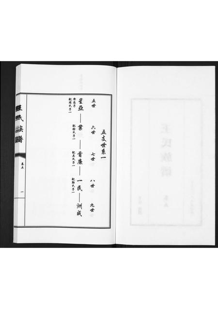 山东王氏-王氏族谱[5卷].pdf电子版插图2