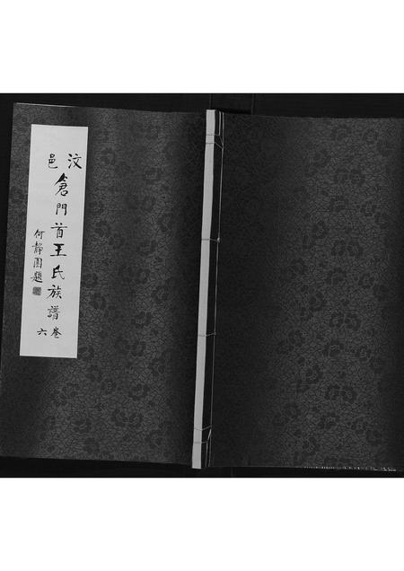 山东王氏-王氏族谱[6卷].pdf电子版