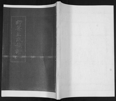 山东王氏-王氏族谱[6卷].pdf电子版