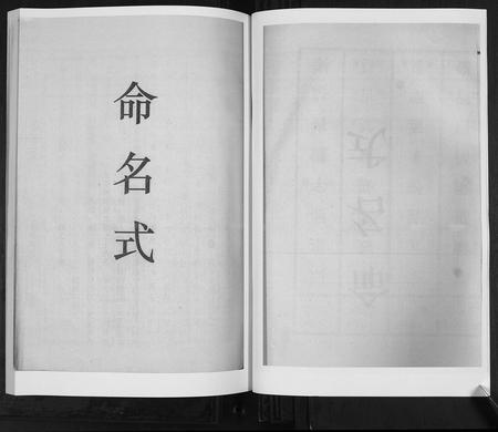 山东王氏-王氏族谱[6卷].pdf电子版插图3