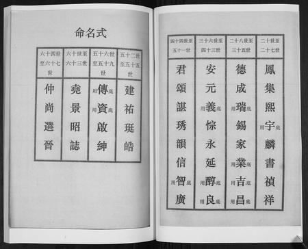 山东王氏-王氏族谱[6卷].pdf电子版插图4