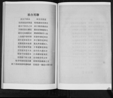 山东王氏-王氏族谱[6卷].pdf电子版插图5