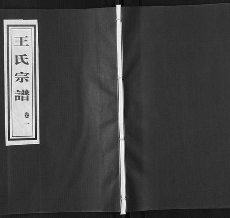 山东王氏-王氏族谱[8卷].pdf电子版