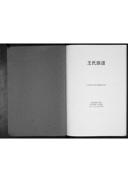 山东王氏-王氏族谱[不分卷].pdf电子版插图1