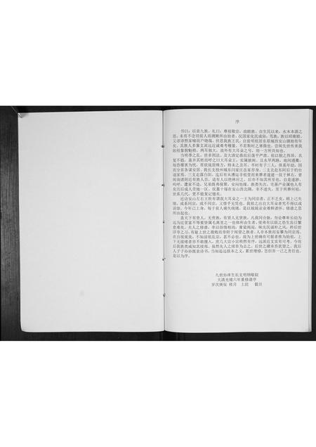 山东王氏-王氏族谱[不分卷].pdf电子版插图2