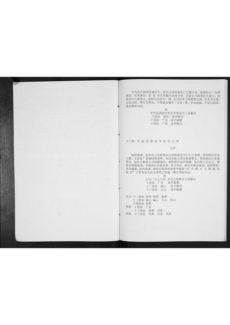 山东王氏-王氏族谱[不分卷].pdf电子版插图3