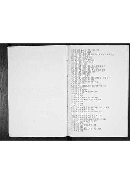 山东王氏-王氏族谱[不分卷].pdf电子版插图4