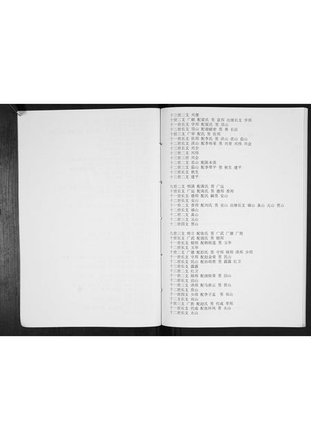 山东王氏-王氏族谱[不分卷].pdf电子版插图5