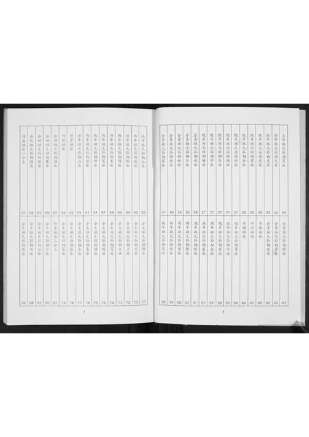 山东王氏-王氏祖谱.pdf电子版插图2