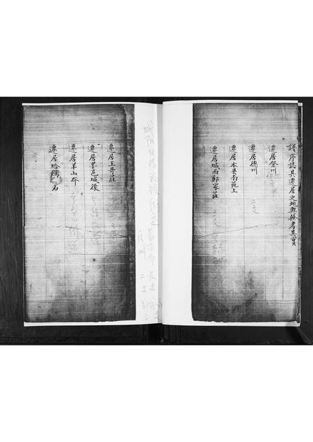 山东王氏-王氏祖谱.pdf电子版插图3