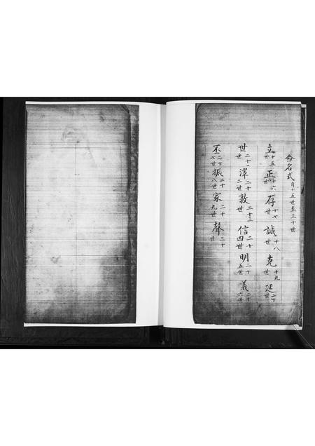 山东王氏-王氏祖谱.pdf电子版插图4