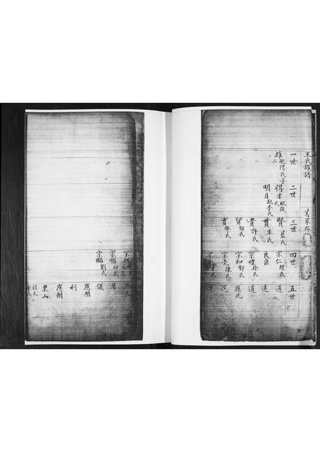 山东王氏-王氏祖谱.pdf电子版插图5