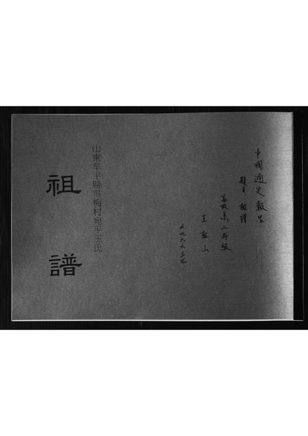 山东王氏-王氏祖谱.pdf电子版