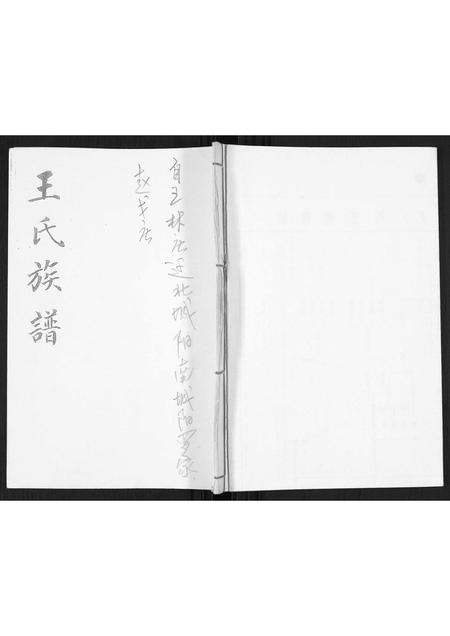 山东王氏-王氏谱书.pdf电子版