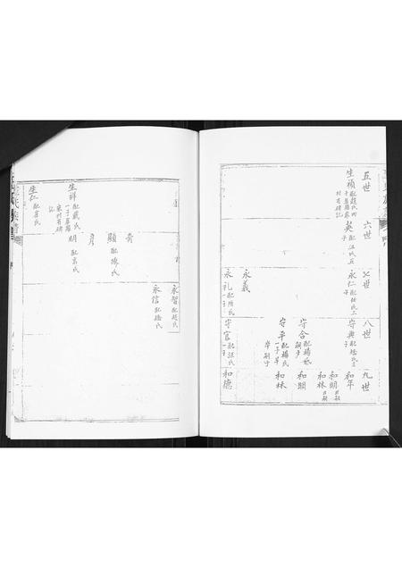 山东王氏-王氏谱书.pdf电子版插图4 山东王氏-王氏谱书.pdf电子版插图4