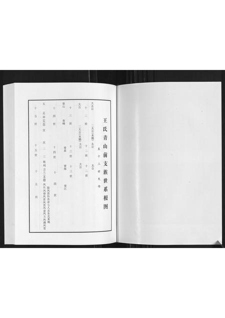 山东王氏-王氏青山前支族家谱.pdf电子版插图2