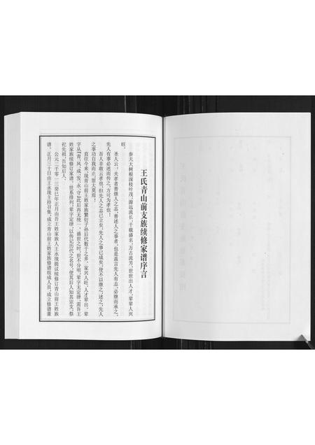 山东王氏-王氏青山前支族家谱.pdf电子版插图3