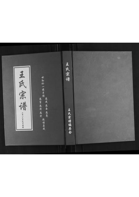 山东王氏-琅琊王氏家谱.pdf电子版