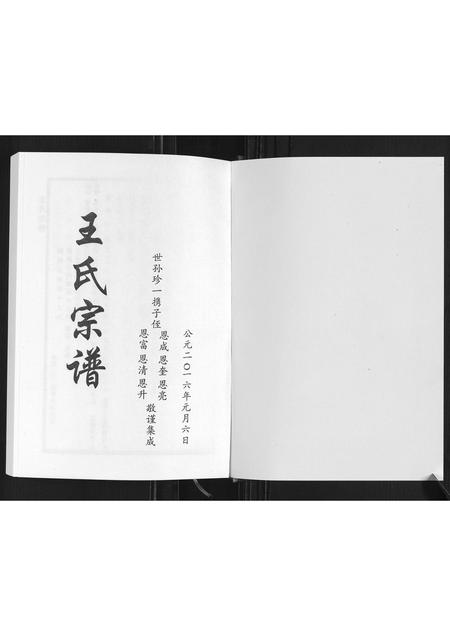 山东王氏-琅琊王氏家谱.pdf电子版插图1