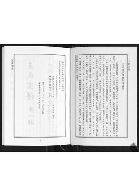 山东王氏-琅琊王氏家谱.pdf电子版插图4