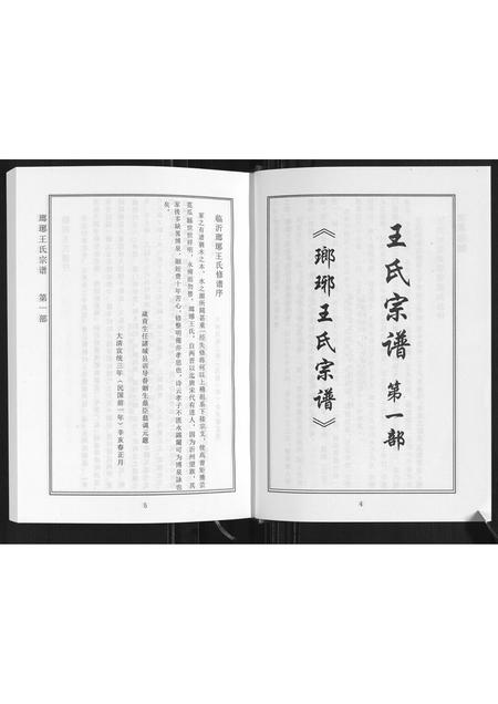 山东王氏-琅琊王氏家谱.pdf电子版插图5