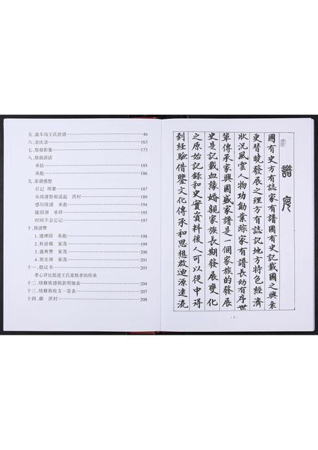 山东王氏-盘车沟王氏族谱[不分卷].pdf电子版插图4