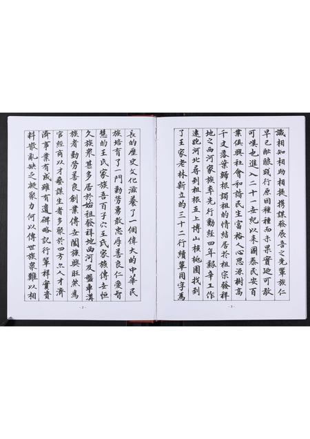 山东王氏-盘车沟王氏族谱[不分卷].pdf电子版插图5