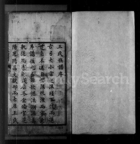 山东王氏-芝阳王氏族谱(别名：王氏族谱).pdf电子版插图3