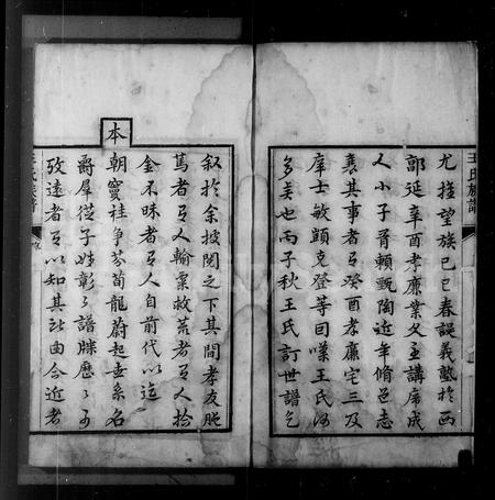 山东王氏-芝阳王氏族谱(别名：王氏族谱).pdf电子版插图4