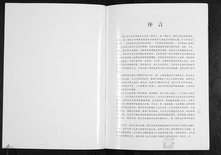 山东王氏-费县宅后王氏.pdf电子版插图2