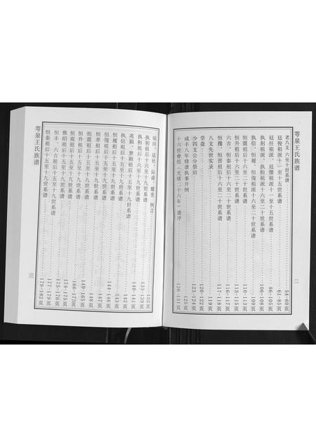 山东王氏-雩泉王氏族谱.pdf电子版插图3