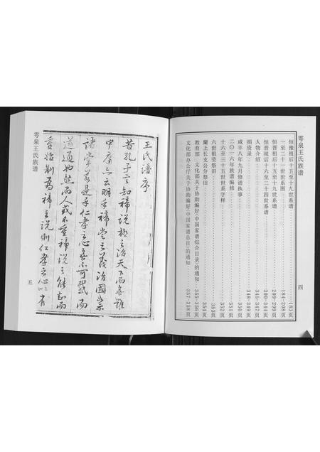 山东王氏-雩泉王氏族谱.pdf电子版插图4