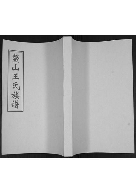山东王氏-鳌山王氏族谱.pdf电子版插图 山东王氏-鳌山王氏族谱.pdf电子版插图