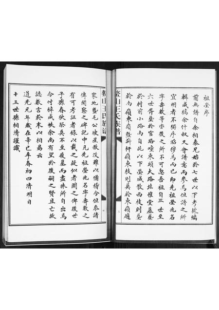 山东王氏-鳌山王氏族谱.pdf电子版插图3 山东王氏-鳌山王氏族谱.pdf电子版插图3