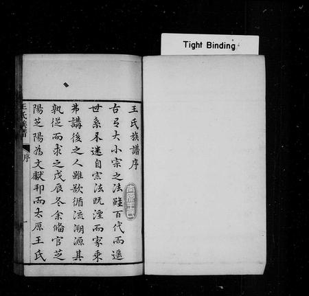 山东王氏-黄县太原王氏族谱.pdf电子版插图1