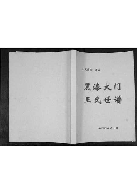 山东王氏-黑漆大门王氏世谱[4篇].pdf电子版
