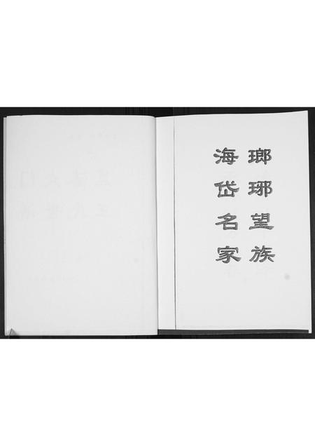 山东王氏-黑漆大门王氏世谱[4篇].pdf电子版插图2