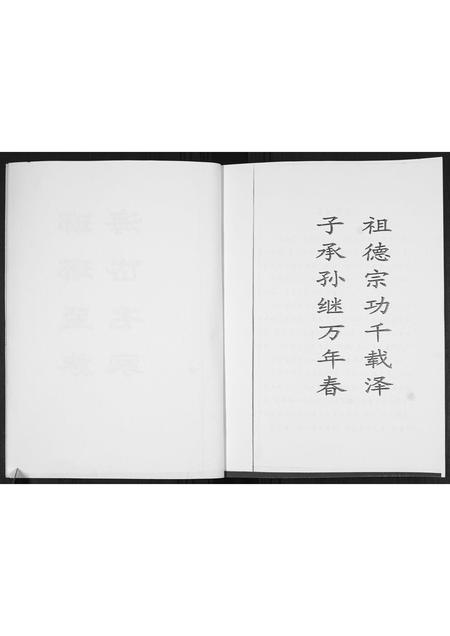 山东王氏-黑漆大门王氏世谱[4篇].pdf电子版插图3