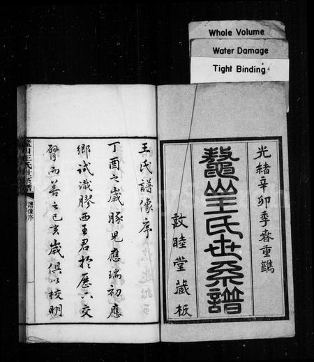 山东王氏-鳌山王氏世系谱(别名：鳌山王氏续修世系谱).pdf电子版插图1