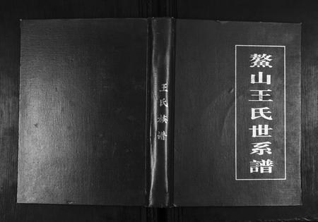 山东王氏-鳌山王氏世系谱.pdf电子版插图 山东王氏-鳌山王氏世系谱.pdf电子版插图