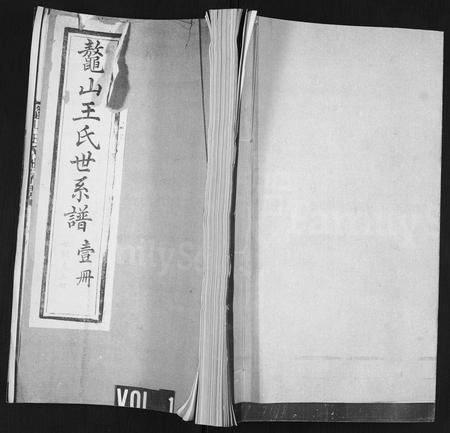 山东王氏-鳌山王氏世系谱.pdf电子版