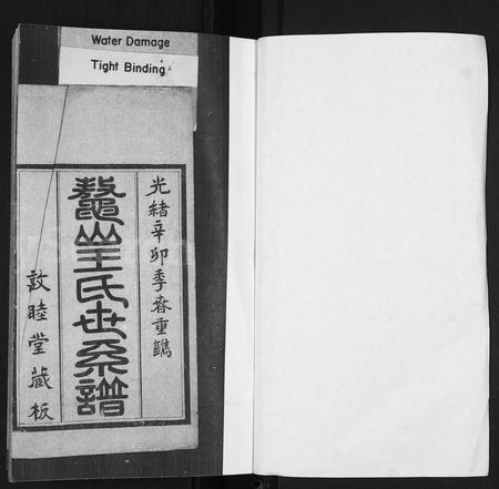 山东王氏-鳌山王氏世系谱.pdf电子版插图1