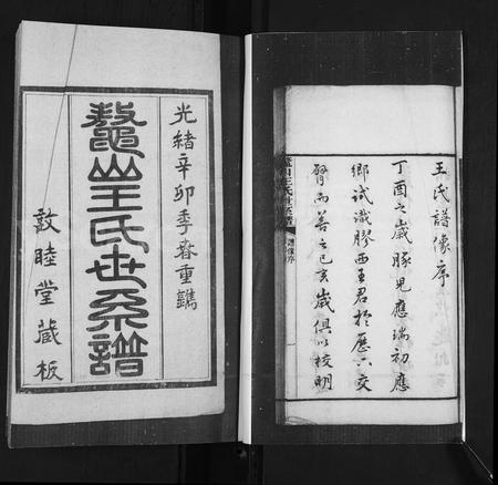 山东王氏-鳌山王氏世系谱.pdf电子版插图2